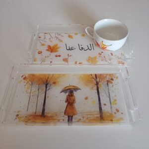 Winter plexi tray  17*27 cm